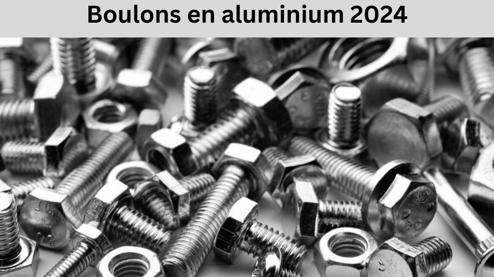 Boulons en aluminium 2024