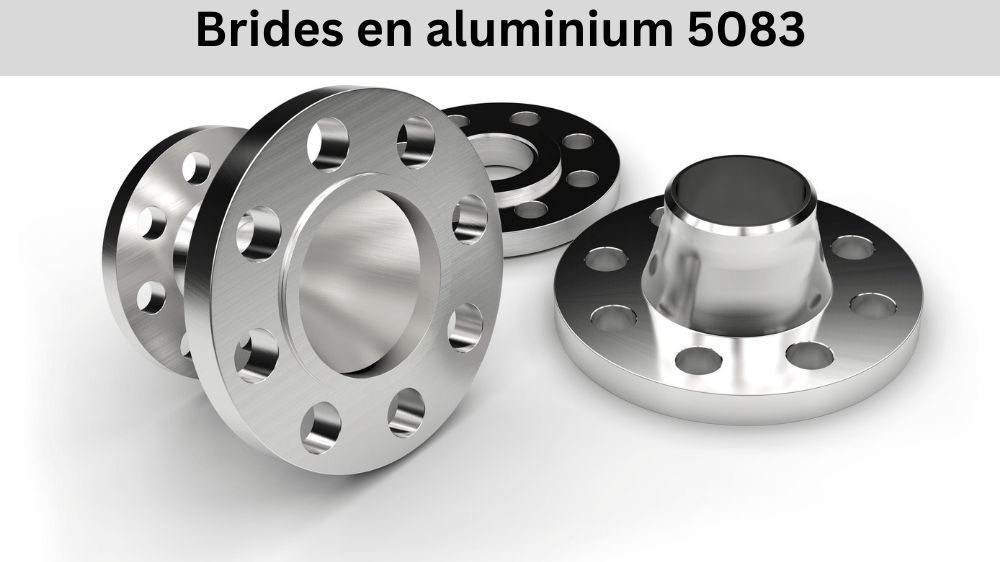 Brides en aluminium 5083